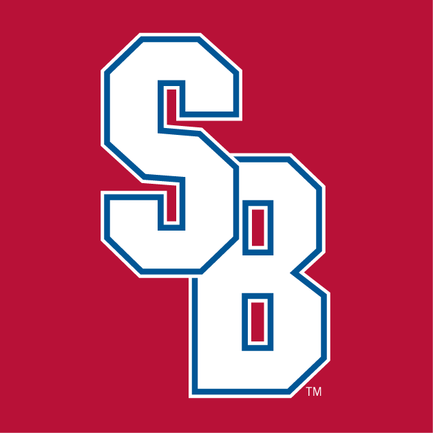 Stony Brook Seawolves 2008-Pres Alternate Logo v3 diy fabric transfers